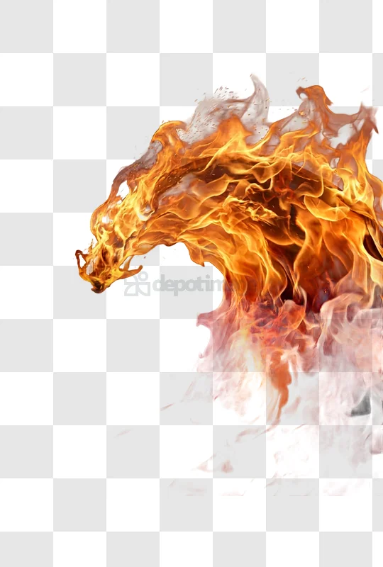 Fiery Horse Head Emerging From Flames vibrant orange flames black background