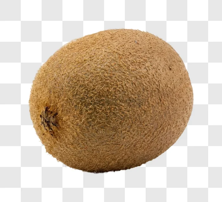 Fuzzy Brown Kiwi Fruit close-up textured skin isolated