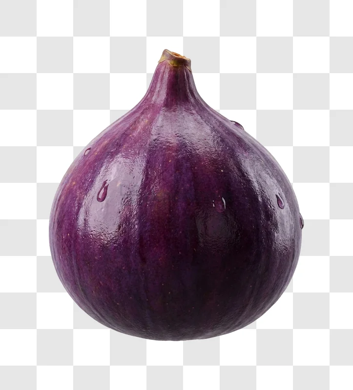 Purple Fig With Dew Drops close-up, dark purple, glossy, water droplets