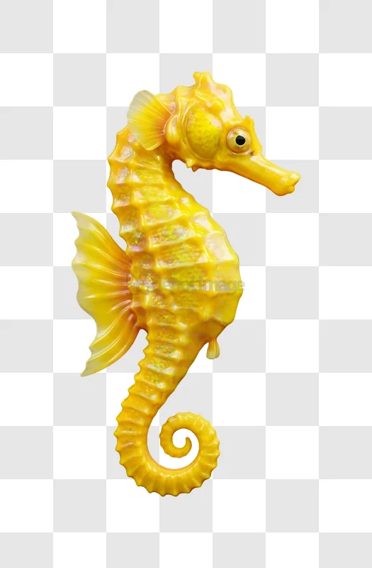 Yellow Seahorse Curled Tail vibrant yellow transparent background