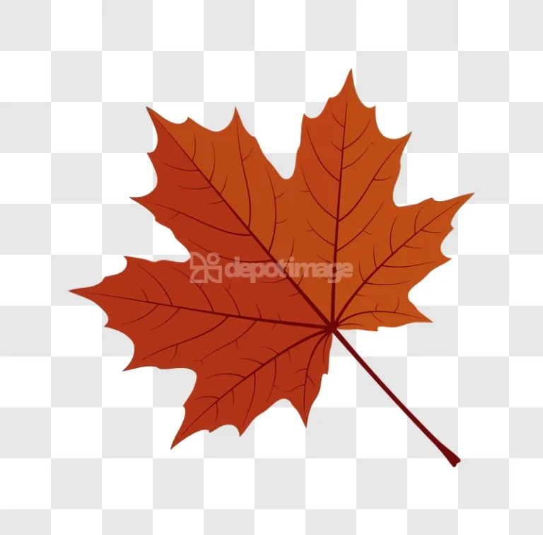 Autumn Maple Leaf With Veins orange brown transparent background