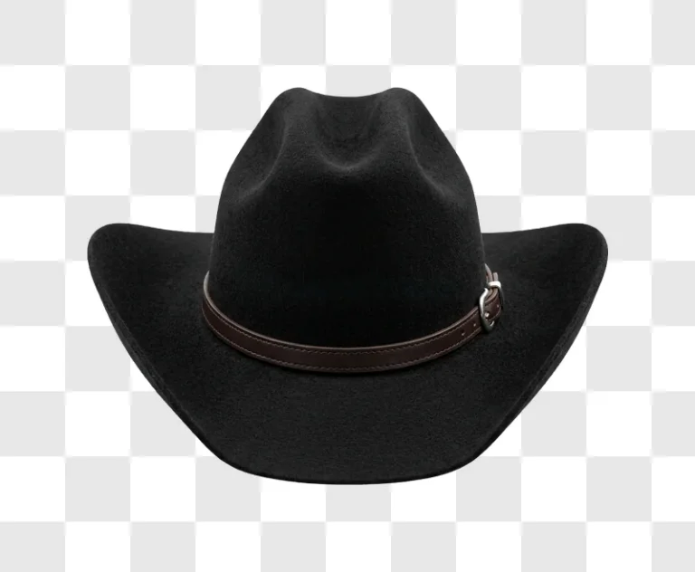 Black Felt Cowboy Hat With Leather Band dark fabric brown strap