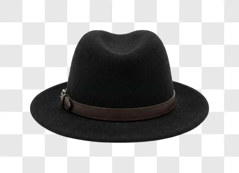 Black Felt Fedora Hat With Leather Band dark felt brown strap