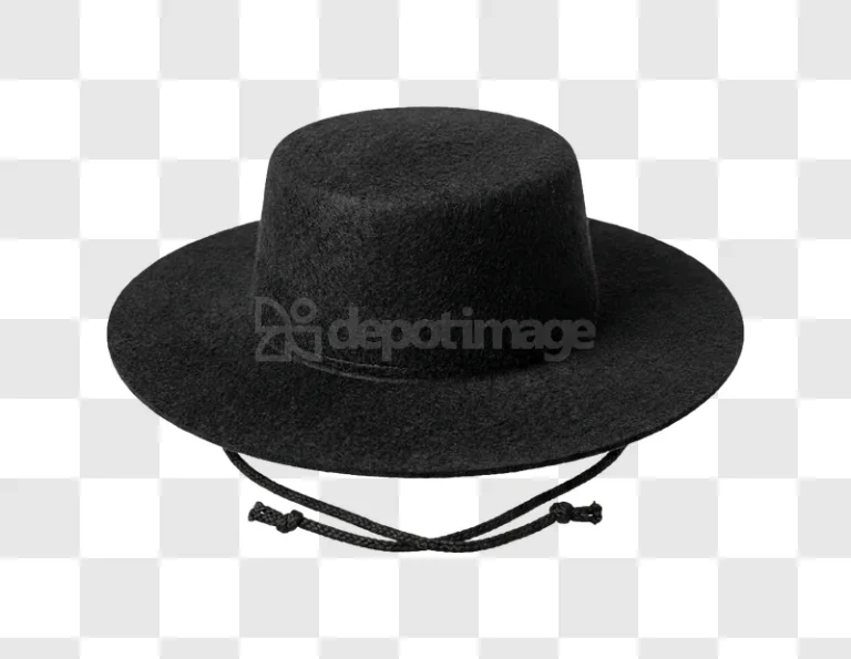 Black Felt Sombrero Style Hat dark felt texture with chin strap