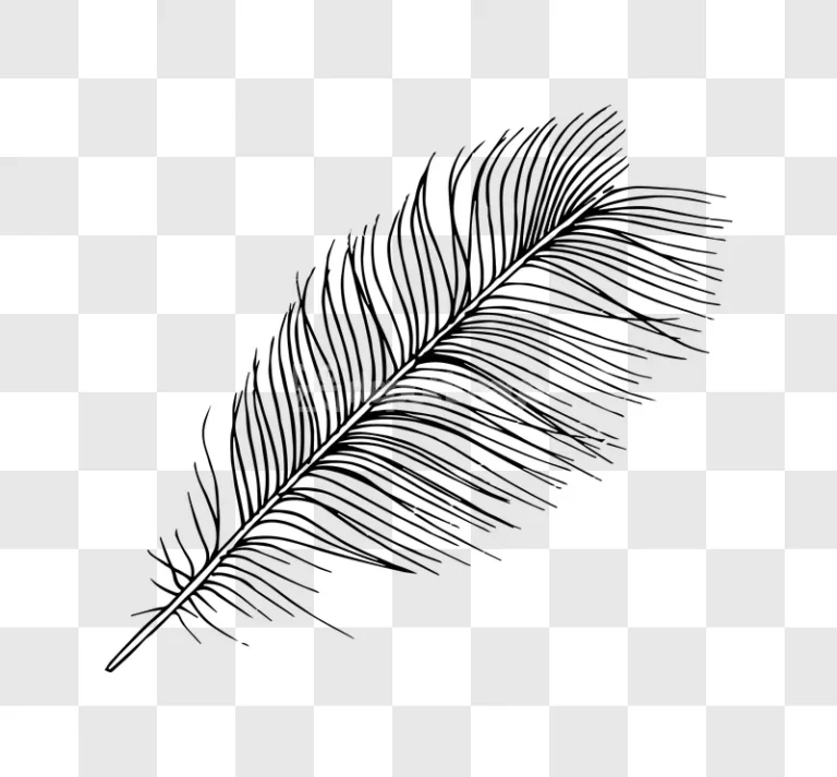 Black Ink Sketch Feather Vector Art Isolated