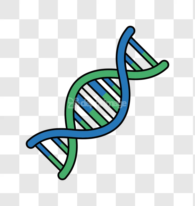Blue Green Dna Double Helix Structure graphic black background