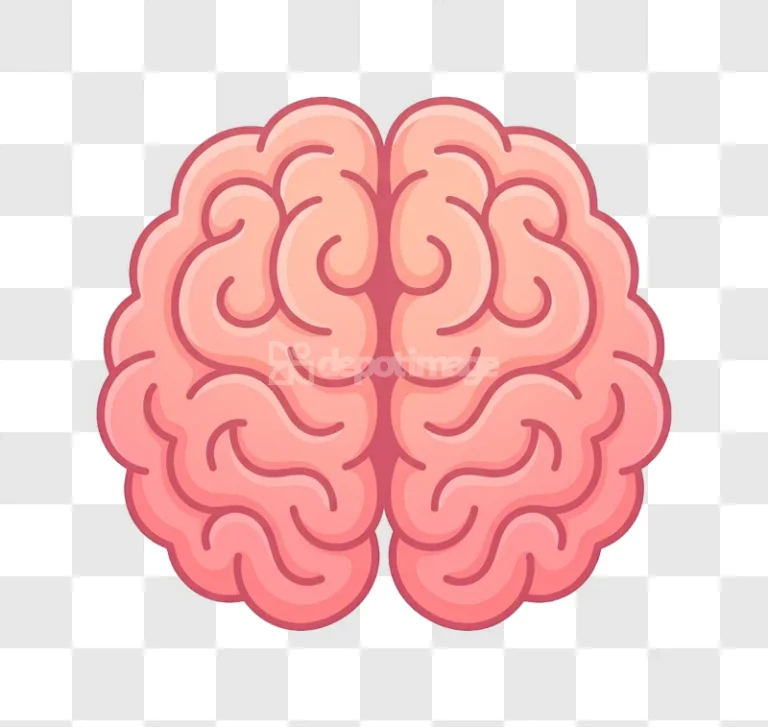 Brain Cartoon Style Human Organ Pink with light pink and red hues, transparent background