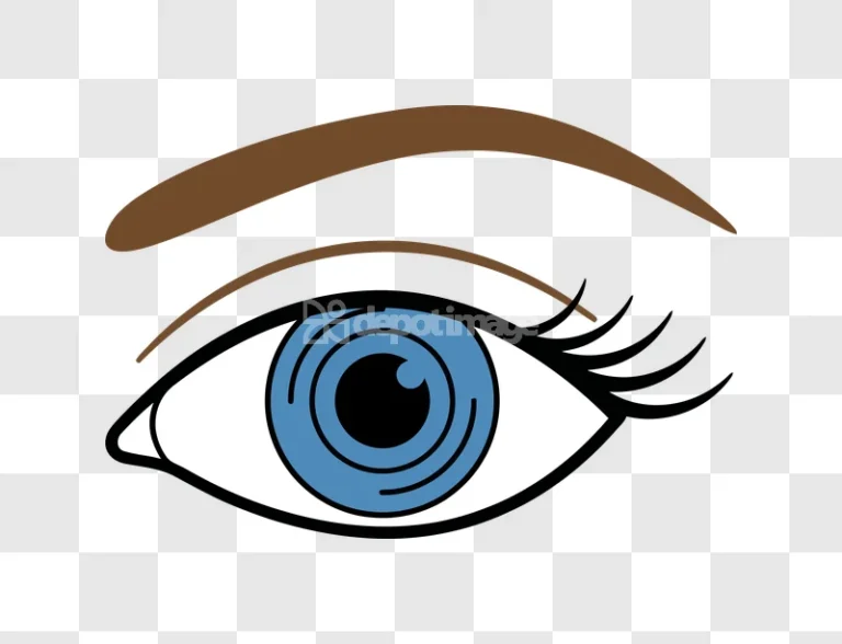 Brown Eyebrow Blue Eye Vector cartoon style blue iris
