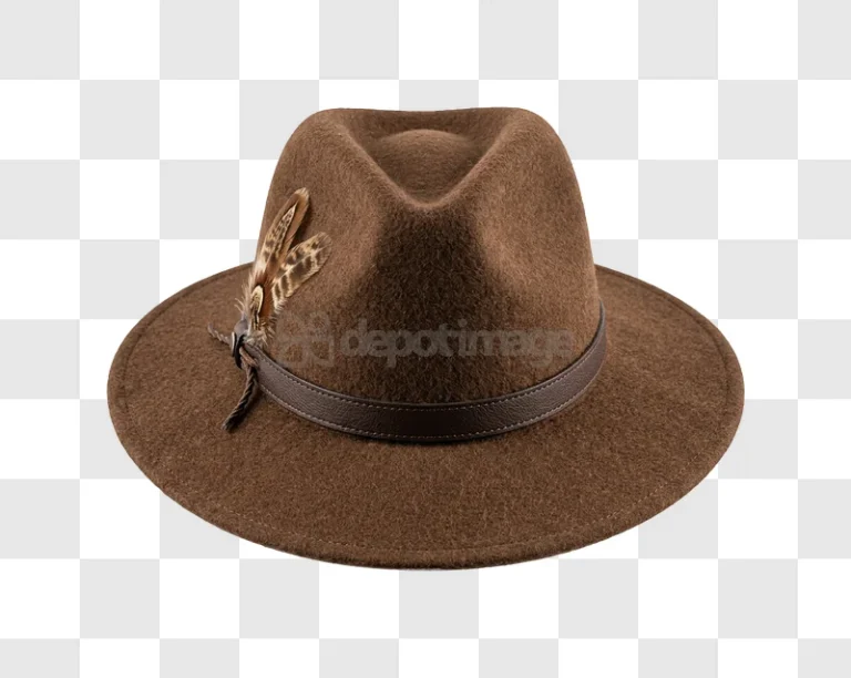Brown Felt Hat With Decorative Feathers felt material leather band