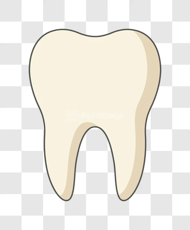 Clean Human Molar Tooth White Dental Icon flat cartoon style with shadow