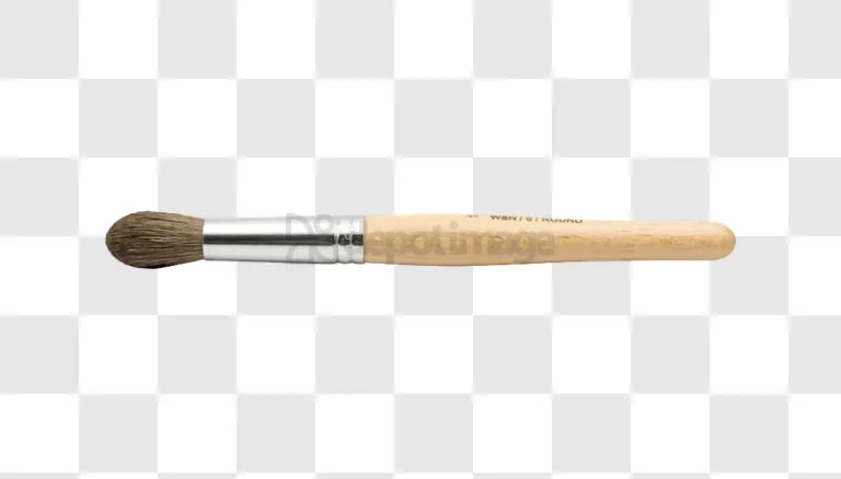 Close up of a Paint Brush natural wood handle silver ferrule