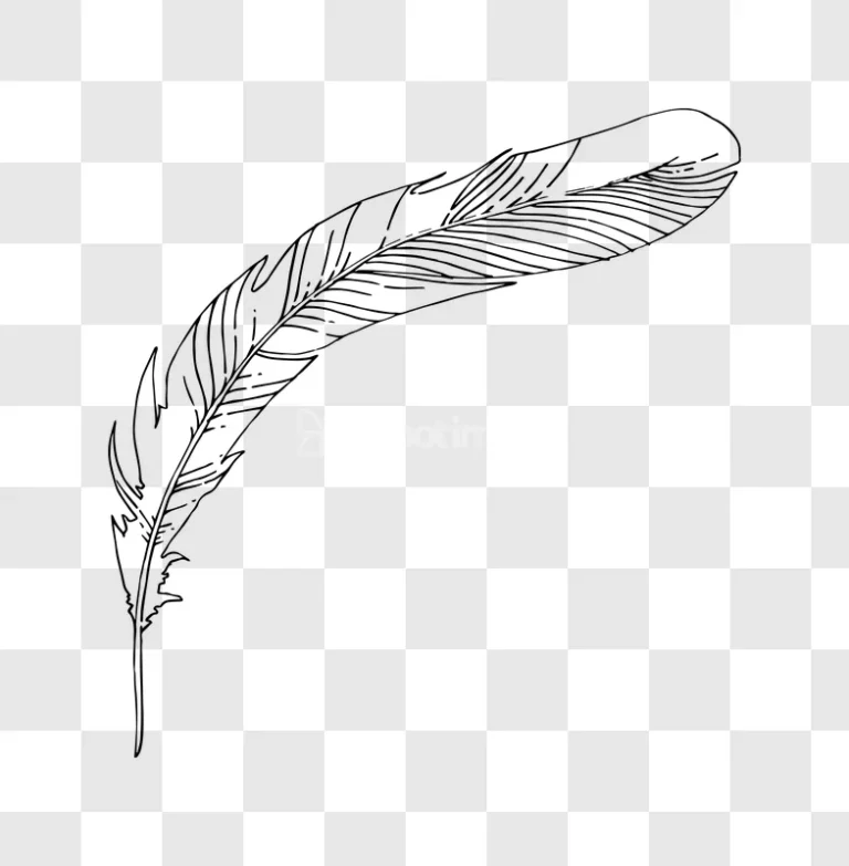Delicate Ink Drawing Feather Illustration Vector Art