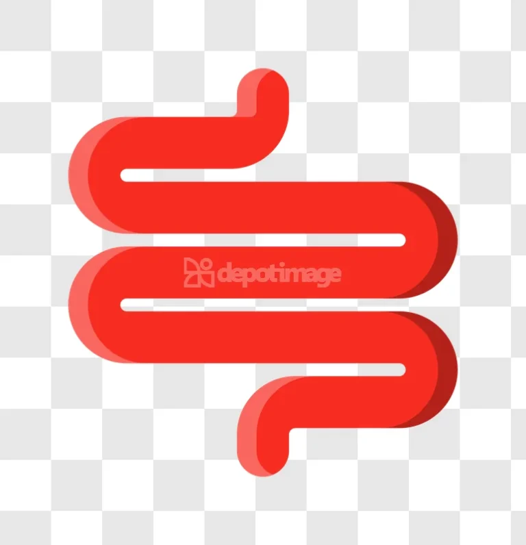 Digestion Human Intestine Organ Icon Red flat style transparent background