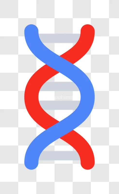 Dna Double Helix Structure Icon Biology flat icon red blue strands