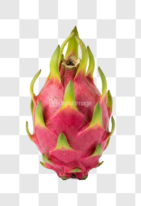 Dragon Fruit Whole Red Pink vibrant red pink green, black background