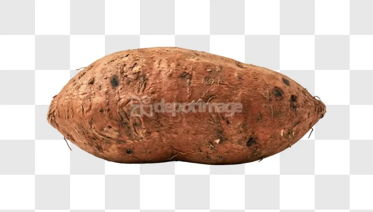 Earthy Brown Organic Sweet Potato Root detailed texture dark spots