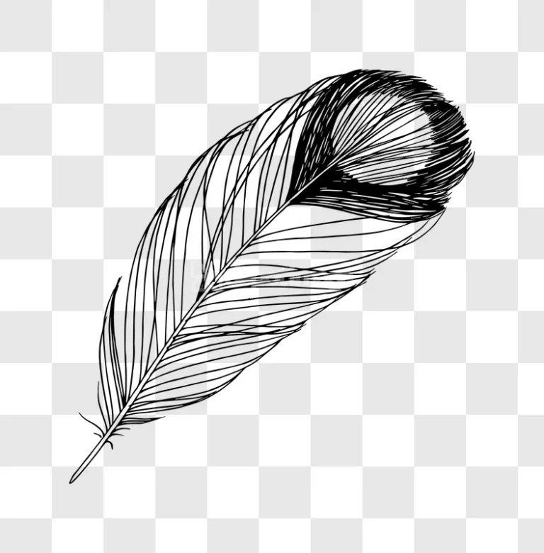 Feather Ink Art Craft Illustration Monochrome Sketch black white transparent background