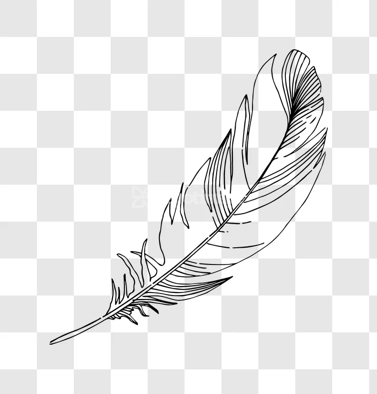 Feather Ink Sketch Illustration Stylized Detailed Artwork