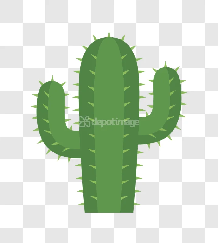 Flat Green Cactus Vector Illustration, green plant transparent background