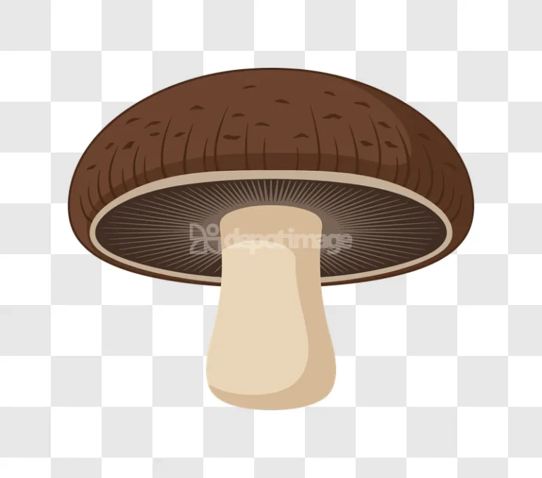 Flat Style Brown Mushroom cartoon illustration with brown cap and light stem