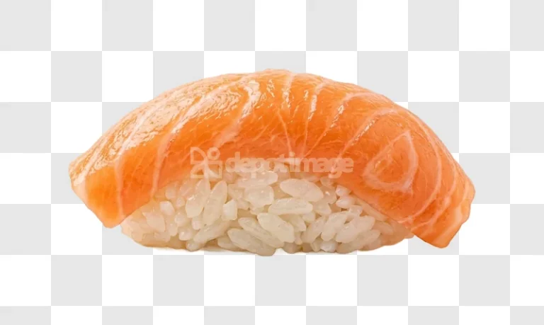 Fresh Atlantic Salmon Nigiri Sushi Single Piece vibrant orange transparent background