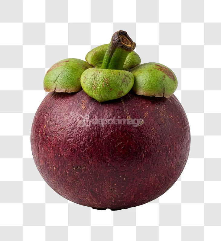Fresh Ripe Purple Green Mangosteen Fruit, dark purple skin green stem