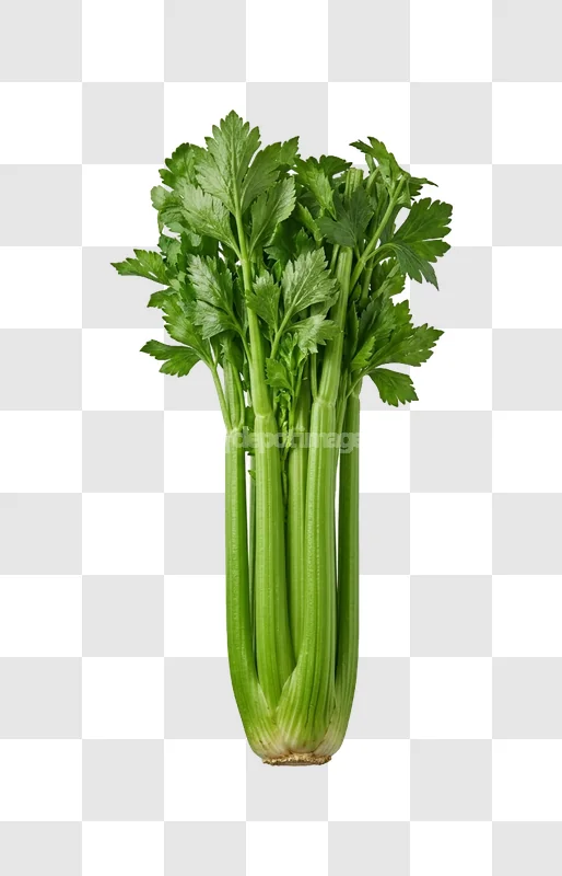 Fresh Whole Celery Bunch, vibrant green stalks transparent background