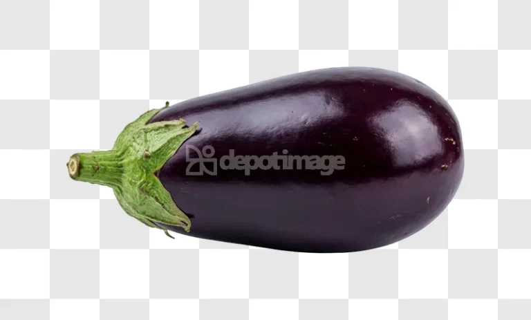 Fresh Whole Shiny Purple Eggplant Vegetable, dark purple, green stem, isolated