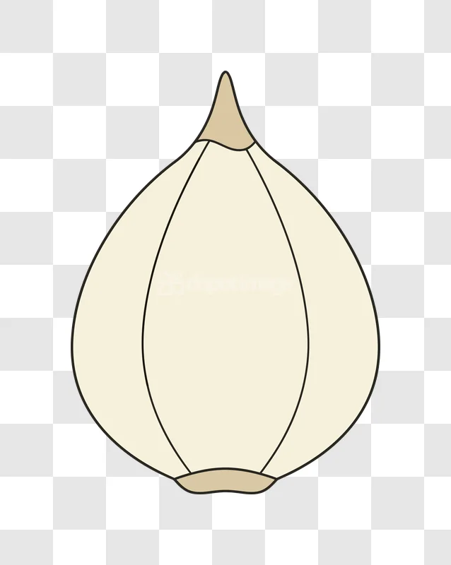 Garlic Bulb Cloves Kitchen Ingredient Food flat illustration transparent background