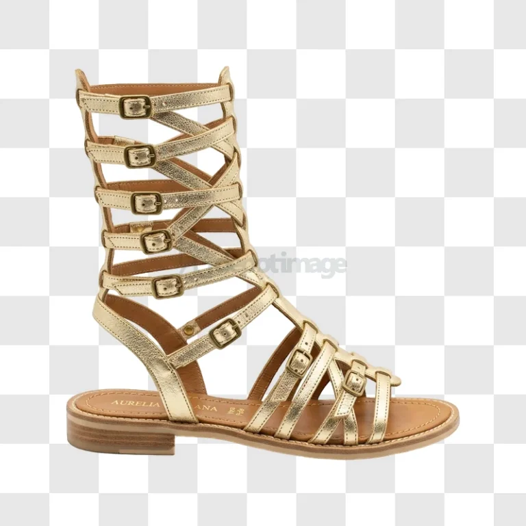 Gold Gladiator Sandals with multiple buckles, transparent background, detailed straps