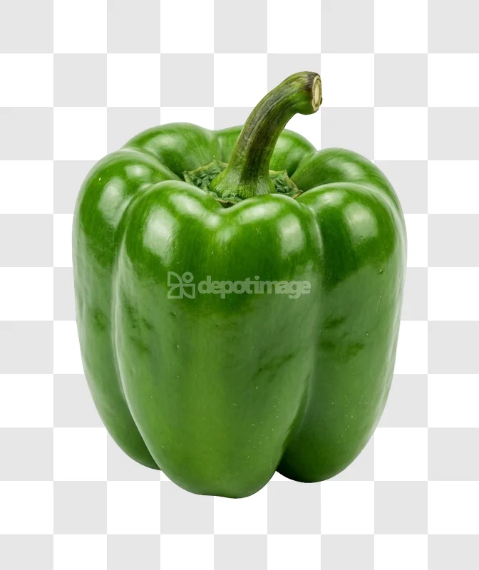Green Bell Pepper Vegetable vibrant green, glossy surface, isolated