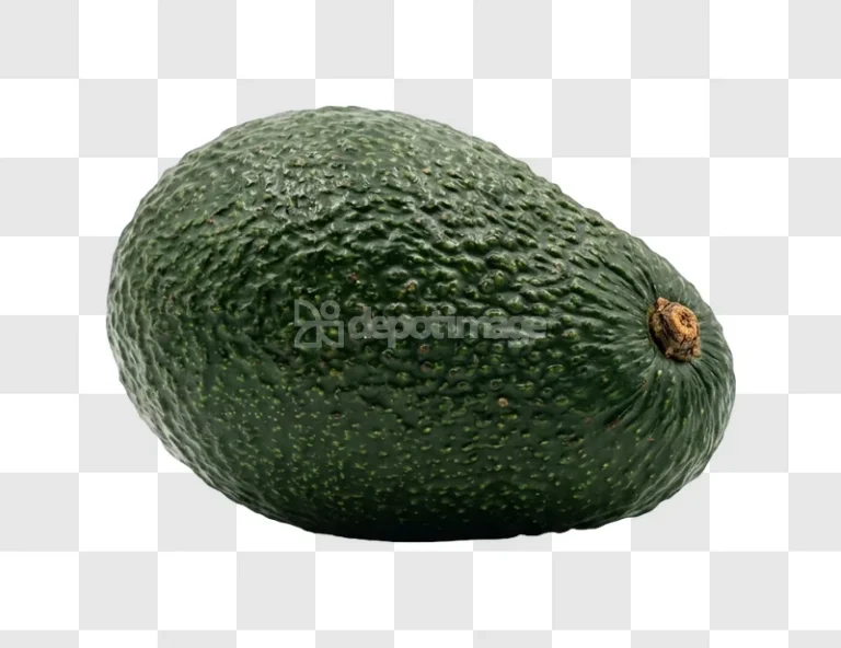 Green Fresh Avocado Fruit single whole dark green
