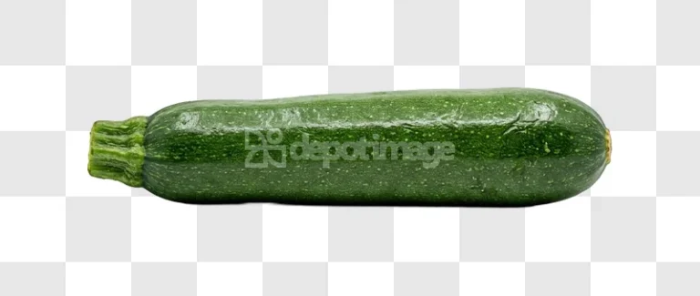 Green Zucchini Vegetable fresh, vibrant, isolated, transparent background