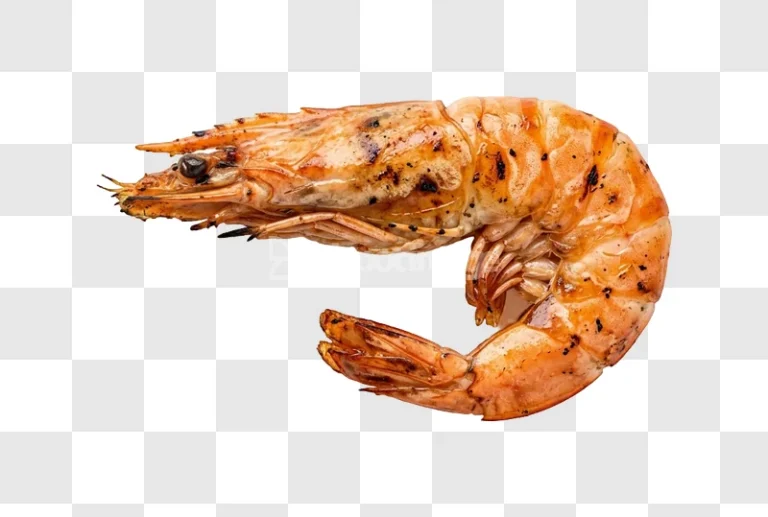 Grilled Prawn Shrimp Cooked Seafood cooked orange transparent background