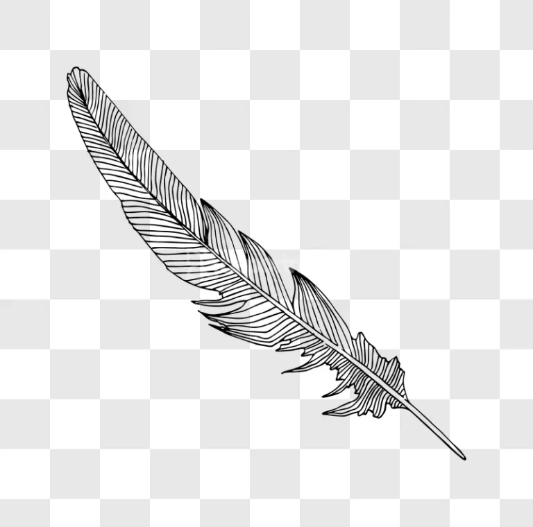 Hand Drawn Black Ink Feather Illustration Vector Art black ink drawing transparent