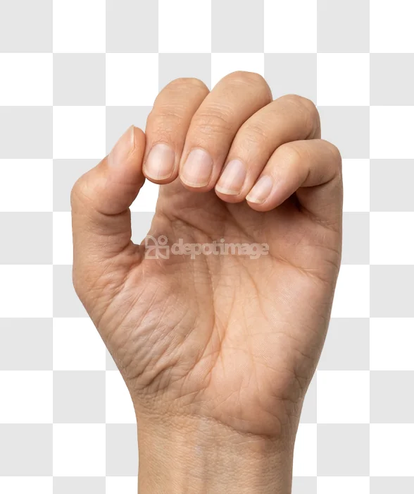 Human Hand Clenched With Fingernails Visible light skin tone realistic