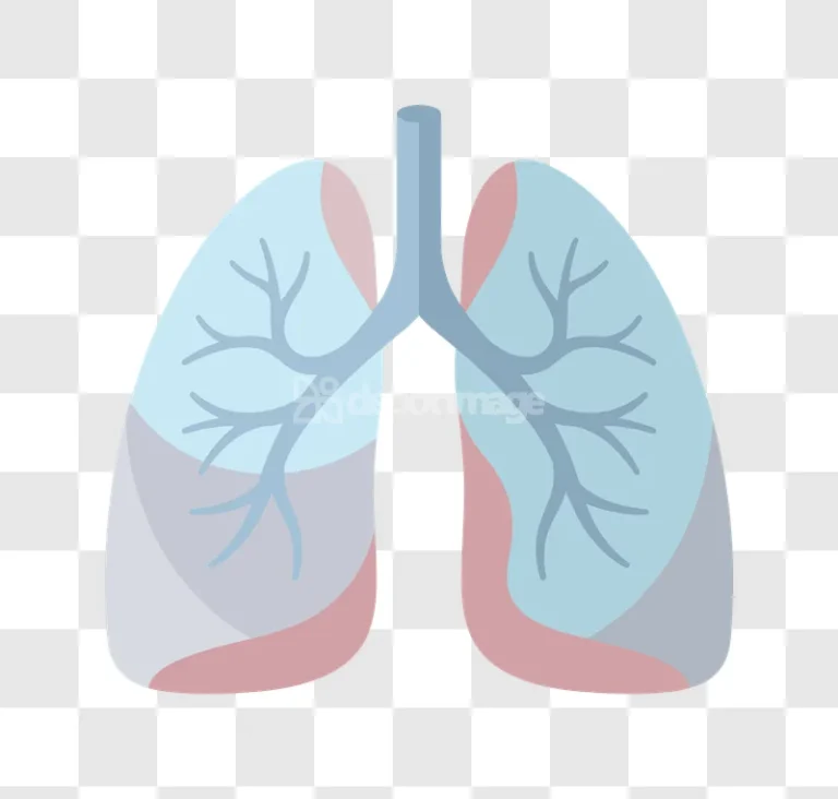 Human Lungs Flat Icon Vector Illustration light blue red flat design