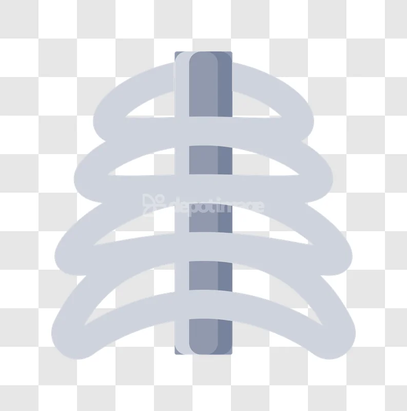 Human Rib Cage Anatomy Flat Icon gray stylized transparent background