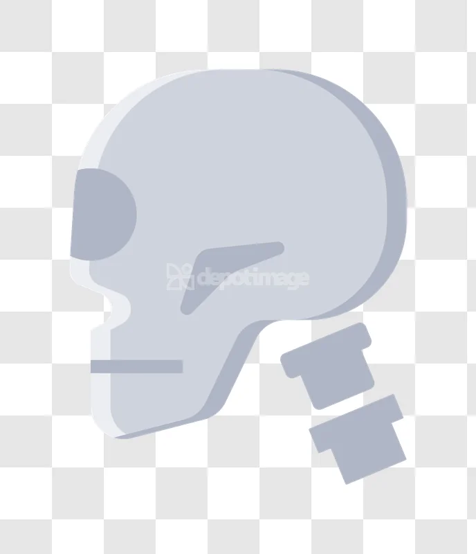 Human Skull Skeletal Anatomy Xray View flat light gray icon