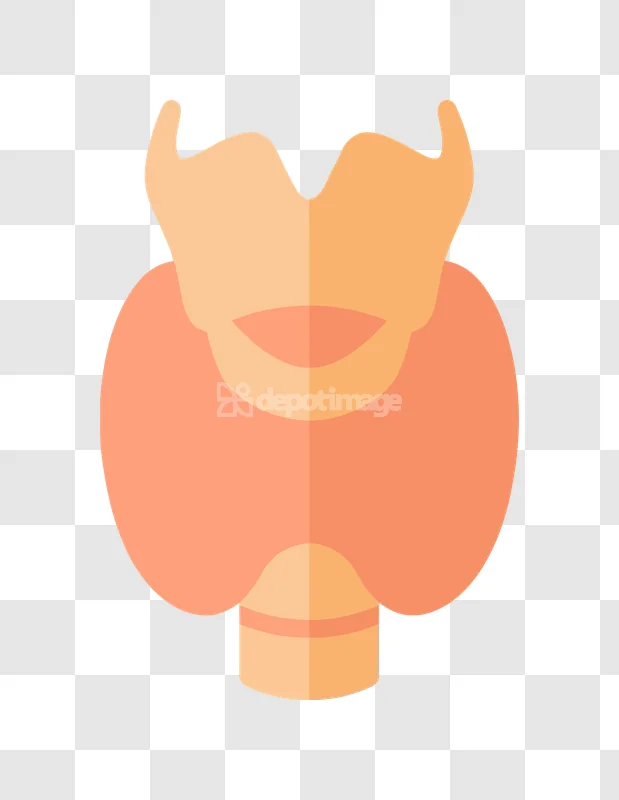 Human Thyroid Gland Simple Flat Icon, orange flat icon transparent background
