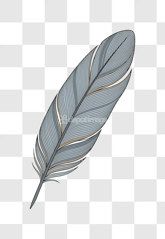 Illustrated Feather With Light Blue Hues detailed drawing transparent background