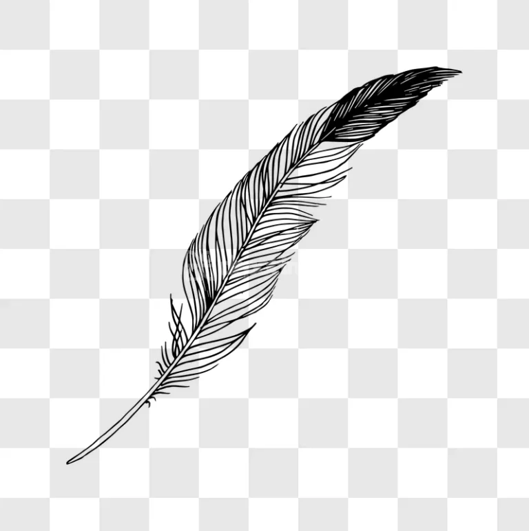 Ink Pen Feather Realistic Drawing Illustration