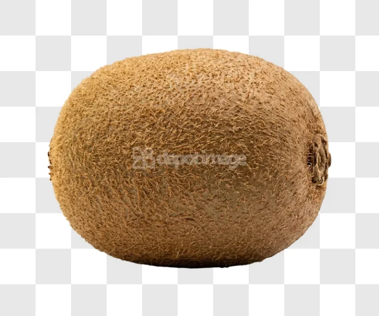 Kiwi Fruit Whole Close up textured brown skin, transparent background