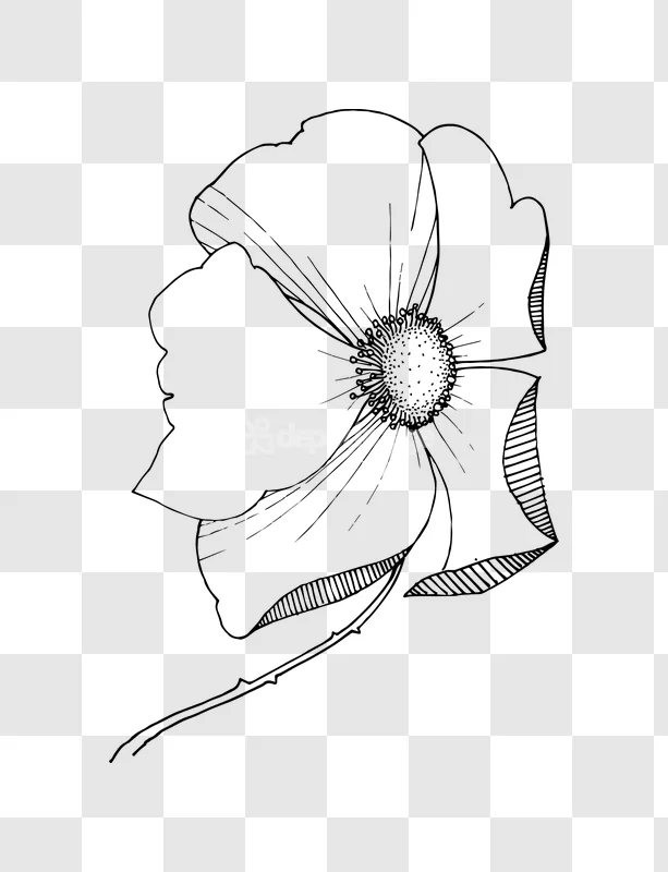 Line Art Wild Rose Flower Ink Drawing