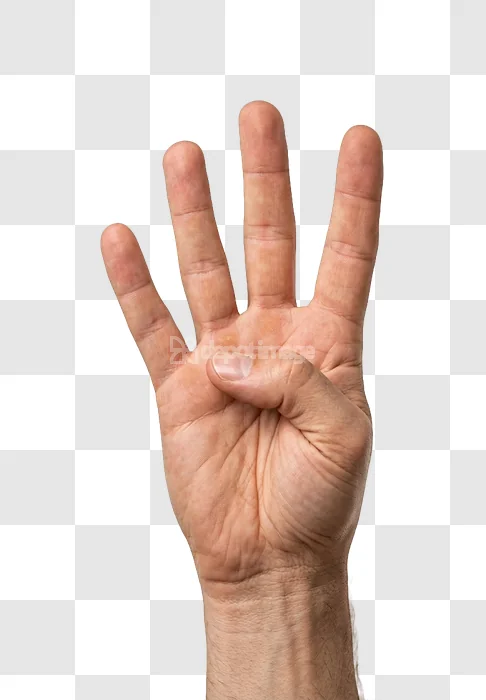 Male Hand Showing Four Fingers up light skin tone transparent background