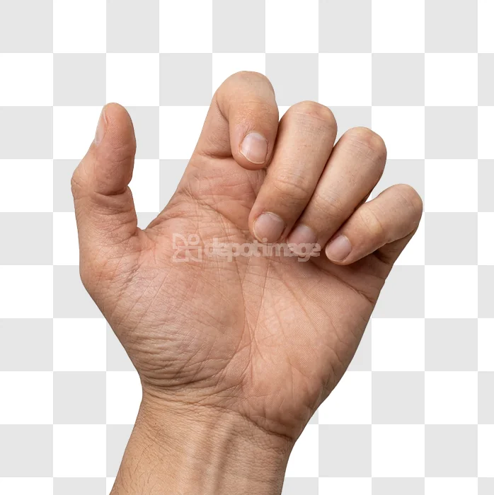 Male Hand With Nails Showing Palm