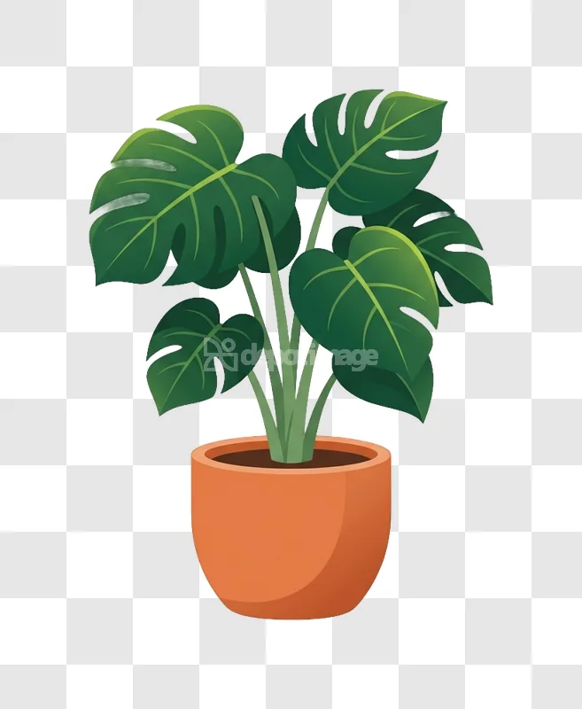 Monstera Plant Orange Pot Illustration