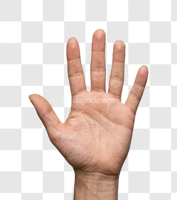 Open Hand on a Warm Background pale skin black background