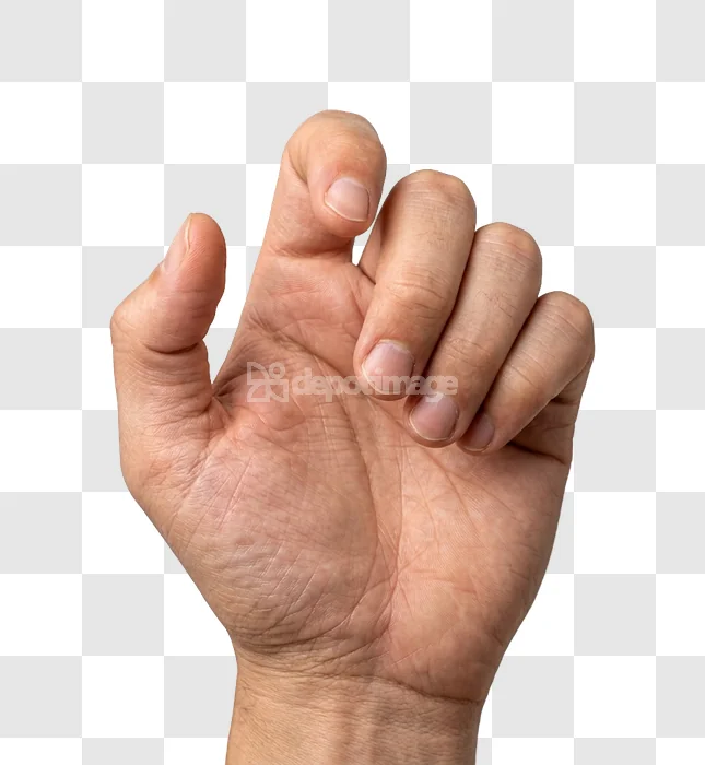 Open Palm With Fingers Slightly Bent light skin tone transparent background
