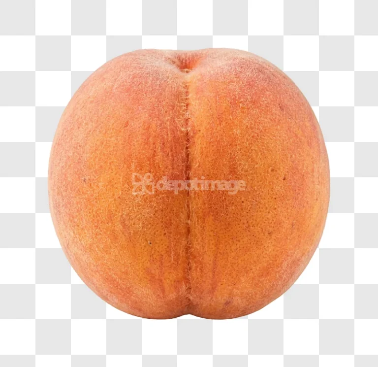 Peach Fruit Close up fuzzy orange texture